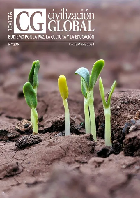 236 · Diciembre 2024